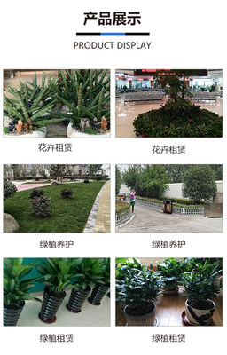 合肥綠化養(yǎng)護與園林綠化工程 如何選擇服務(wù)優(yōu)質(zhì)的專業(yè)團隊