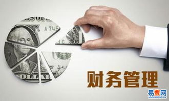 東西湖進出口代理業務解析與優勢探索